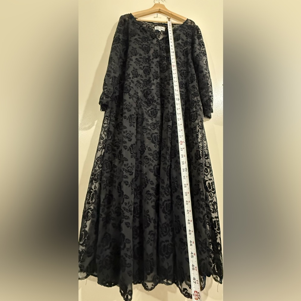 Paris Blues Black Floral Velvet Flocked Maxi Dress - Picture 3 of 4